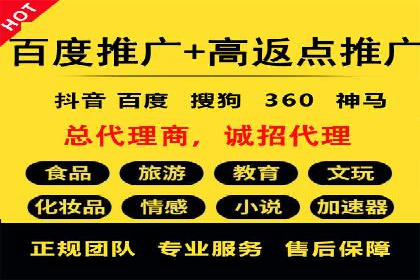 揭秘百度竞价代理：实战案例分析
